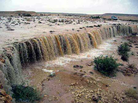 107_787.jpg