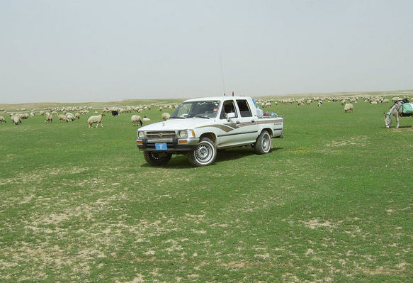 1c65da27f1.jpg