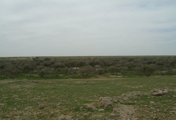 2f5c8435bc.jpg