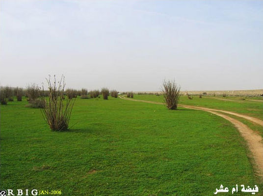 الصمان - السعودية
الصمان في السعودية
الكلمات الإستدلالية(لتسهيل البحث): الصمان السعودية صور رحلات برية صحراء