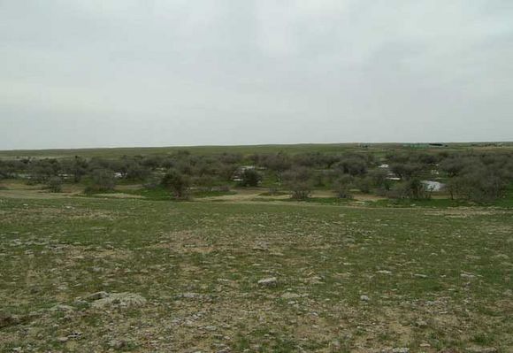 42343.jpg