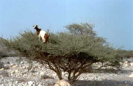 73_496.jpg