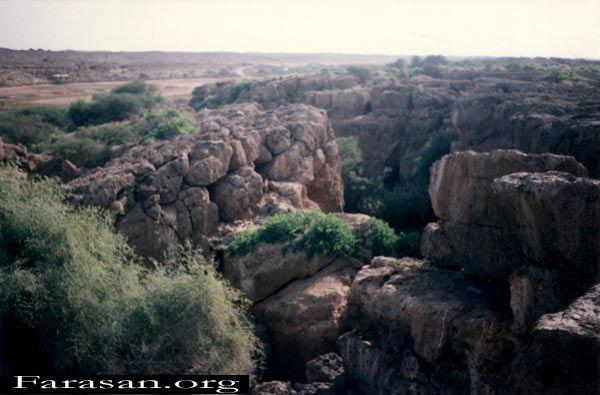 BOAYDA1.jpg