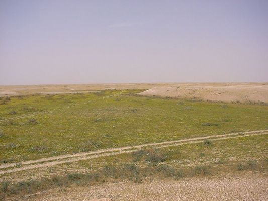 Dsc00006.jpg
