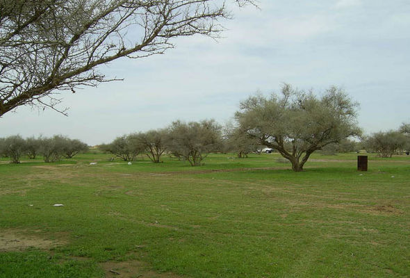 a126e0845f.jpg
