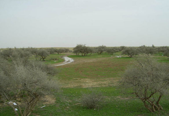 acc6b2e15b.jpg