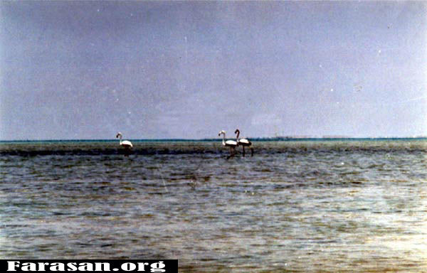 b3.jpg