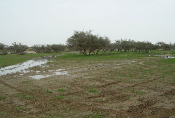 b3938e5507.jpg