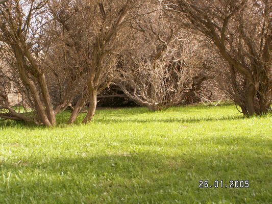 cid_image007.jpg