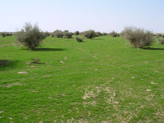 cid_image009.jpg