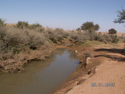 cid_image018.jpg