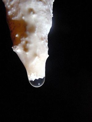 drop.jpg