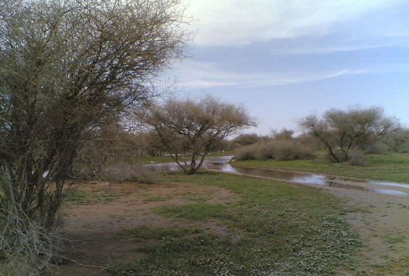 eab766a648.jpg