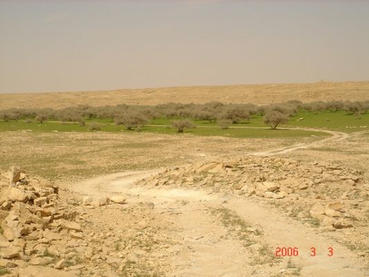 ffd83eab7c.jpg