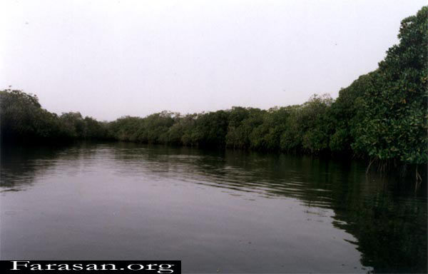 gan8.jpg