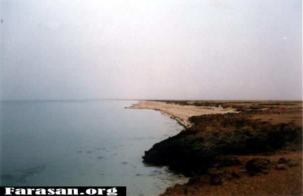 ish1.jpg