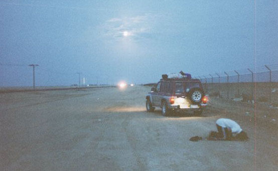 kind19.jpg