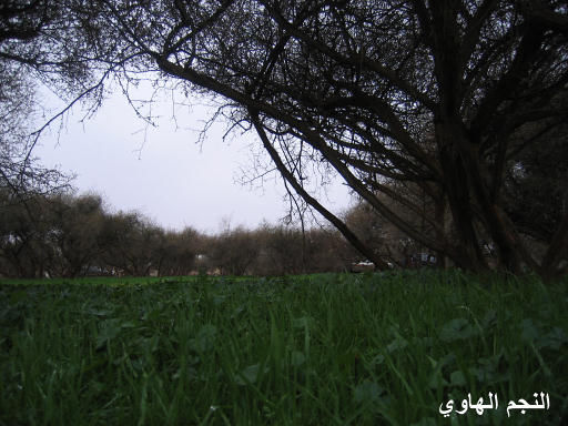 m10.jpg