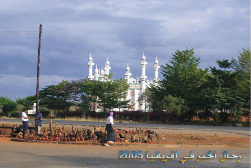 mk10555_f).jpg