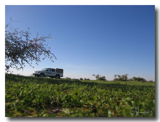mk10587_yaer2f20(0016).jpg
