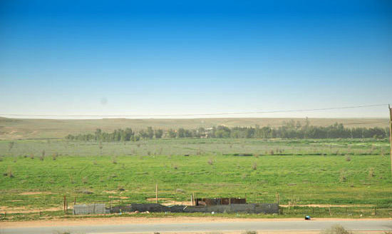 mk1377_7.jpg