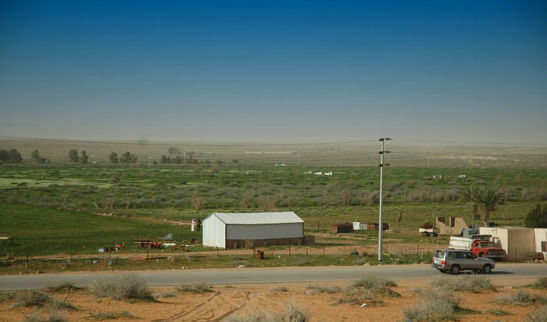 mk1377_8.jpg
