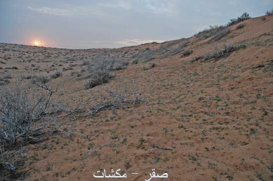 mk1377_attaysyah10.jpg