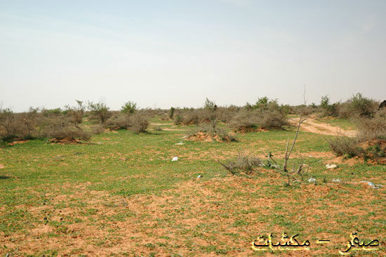 mk1377_hiijeerah2.jpg