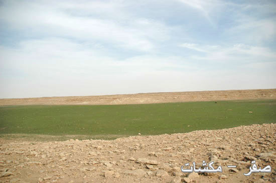 mk1377_hiijeerah4.jpg