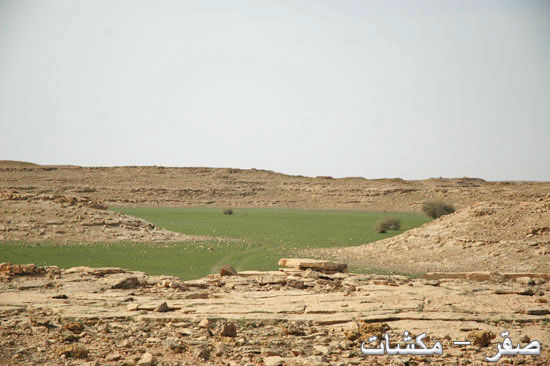 mk1377_hiijeerah5.jpg