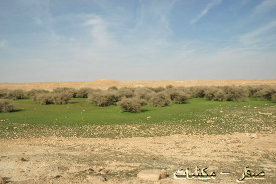 mk1377_hiijeerah8.jpg