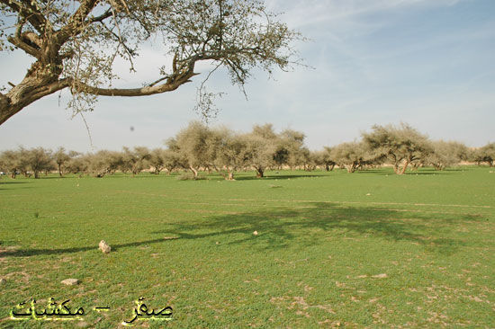 mk1377_hiijeerah9.jpg