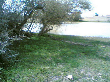 mk14029_2.jpg