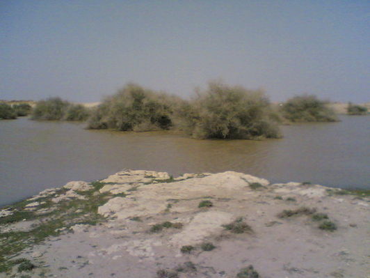 mk14029_3.jpg
