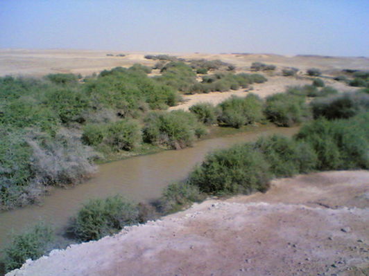 mk14029_aaiwg1.jpg
