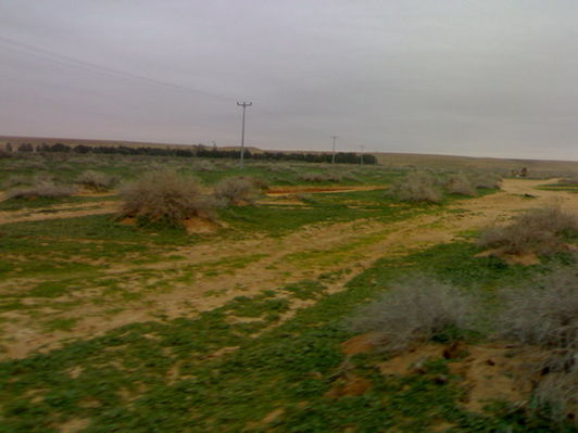 mk14029_am0asar.jpg