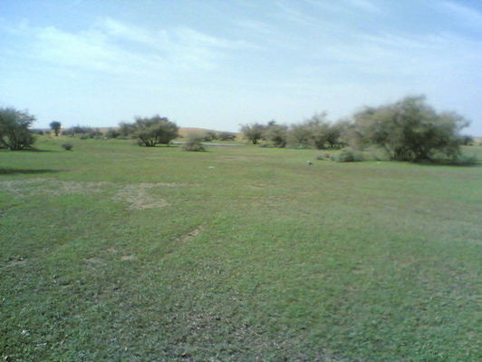 mk14029_bsati031.jpg