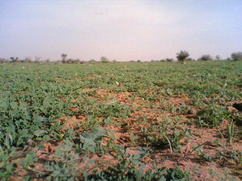 mk14029_bsati041.jpg