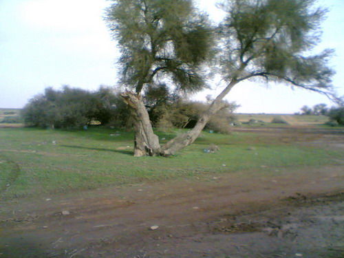 mk14029_wsakh11.jpg