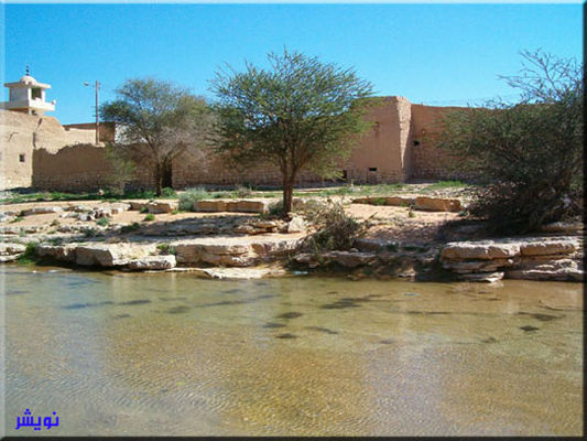 mk14380_0450.jpg