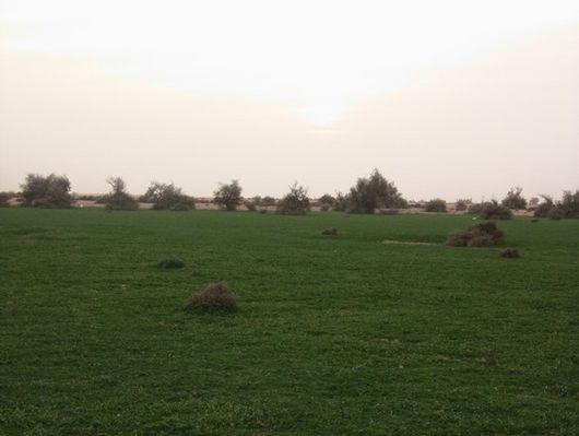 mk15860_55555.jpg