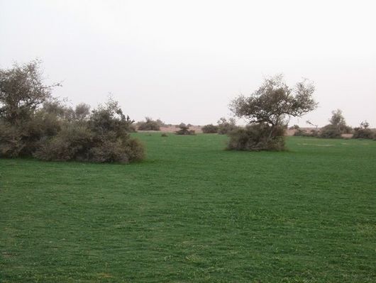 mk15860_55556.jpg
