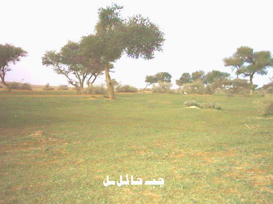 mk1668_mk6440_hskyyyy11hh.jpg