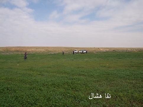 mk2085_aomashar5.jpg