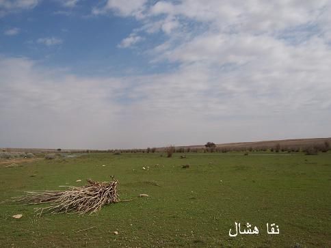 mk2085_aomashar6.jpg