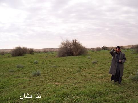 mk2085_aomashar7.jpg