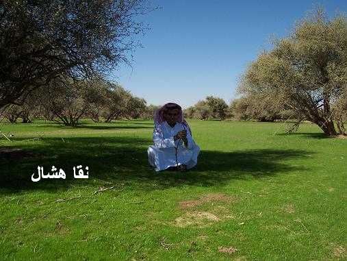 mk2085_sahan3.jpg