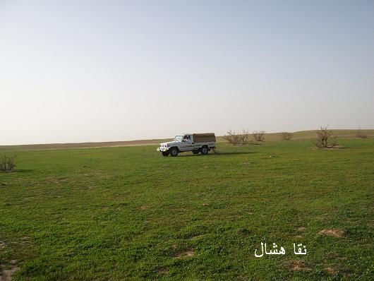 mk2085_shas13.jpg