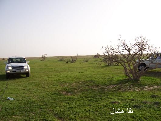 mk2085_shas14.jpg