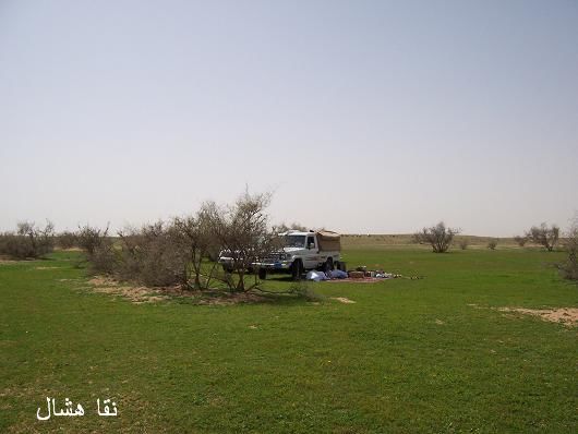 mk2085_shas15.jpg